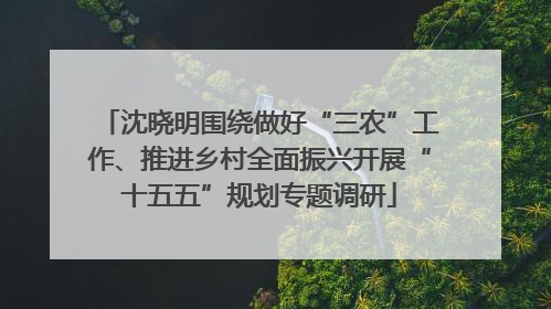 沈晓明围绕做好“三农”工作、推进乡村全面振兴开展“十五五”规划专题调研