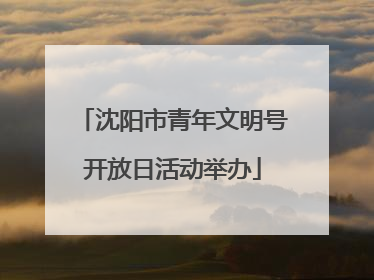 沈阳市青年文明号开放日活动举办