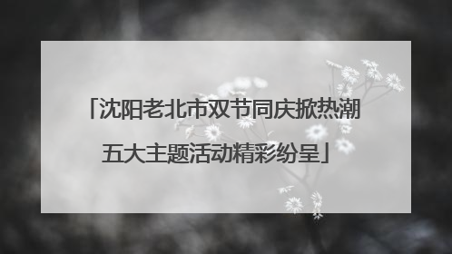 沈阳老北市双节同庆掀热潮 五大主题活动精彩纷呈