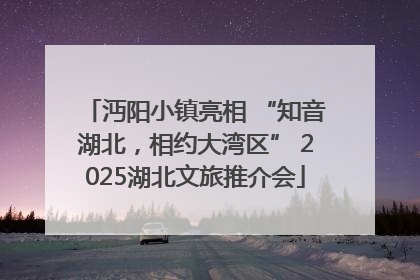 沔阳小镇亮相 “知音湖北,相约大湾区” 2025湖北文旅推介会