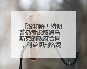 没和解！特朗普仍考虑取消马斯克的政府合同，利益切割容易吗？