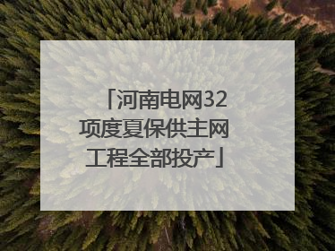 河南电网32项度夏保供主网工程全部投产