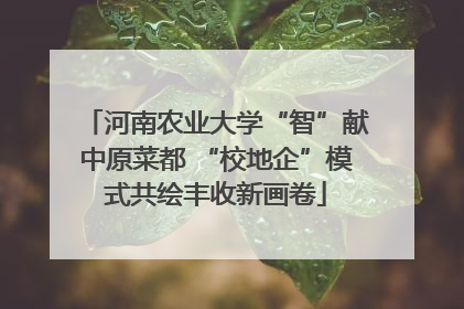 河南农业大学“智”献中原菜都 “校地企”模式共绘丰收新画卷
