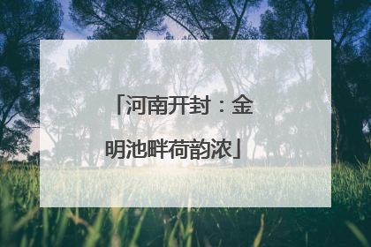 河南开封：金明池畔荷韵浓