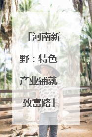 河南新野：特色产业铺就致富路