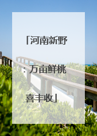 河南新野：万亩鲜桃喜丰收