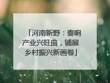 河南新野：奏响产业兴旺曲，铺展乡村振兴新画卷