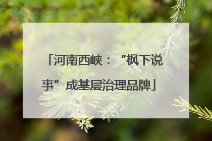 河南西峡：“枫下说事”成基层治理品牌