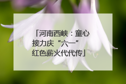 河南西峡：童心接力庆“六一” 红色薪火代代传