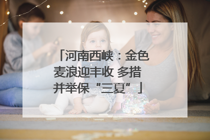 河南西峡：金色麦浪迎丰收 多措并举保“三夏”