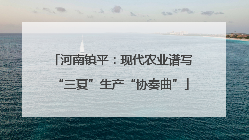 河南镇平：现代农业谱写“三夏”生产“协奏曲”
