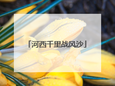 河西千里战风沙