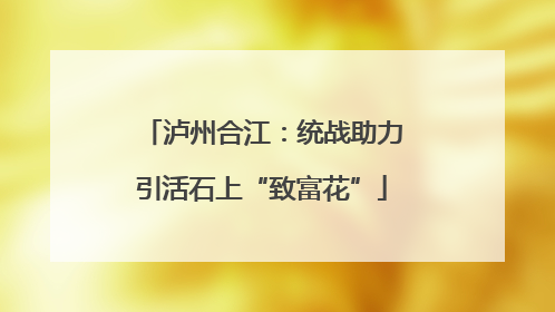 泸州合江：统战助力引活石上“致富花”
