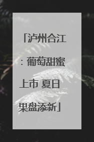 泸州合江：葡萄甜蜜上市 夏日果盘添新