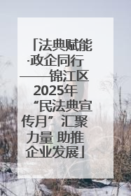 法典赋能·政企同行——锦江区2025年“民法典宣传月”汇聚力量 助推企业发展
