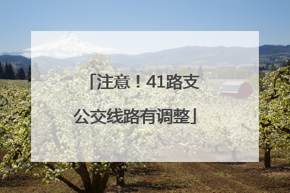 注意！41路支公交线路有调整