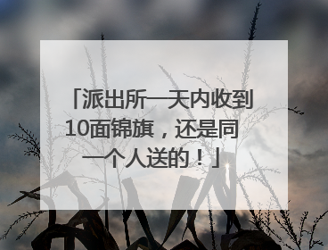 派出所一天内收到10面锦旗，还是同一个人送的！