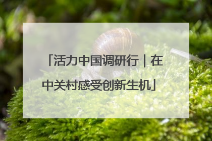 活力中国调研行｜在中关村感受创新生机