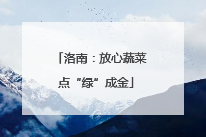 洛南：放心蔬菜点“绿”成金