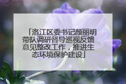 洛江区委书记颜丽明带队调研督导巡视反馈意见整改工作，推进生态环境保护建设