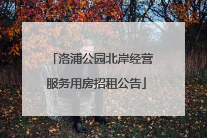 洛浦公园北岸经营服务用房招租公告