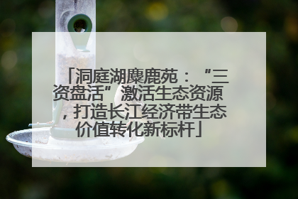 洞庭湖麋鹿苑：“三资盘活”激活生态资源，打造长江经济带生态价值转化新标杆