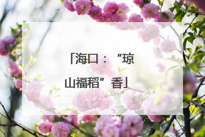 海口：“琼山福稻”香