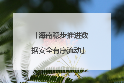 海南稳步推进数据安全有序流动