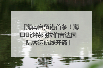 海南自贸港首条！海口⇌沙特阿拉伯吉达国际客运航线开通