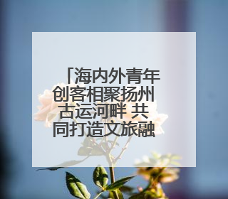 海内外青年创客相聚扬州古运河畔 共同打造文旅融合新范式