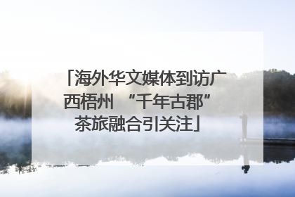 海外华文媒体到访广西梧州 “千年古郡”茶旅融合引关注