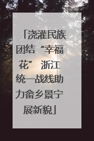 浇灌民族团结“幸福花” 浙江统一战线助力畲乡景宁展新貌
