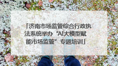 济南市场监管综合行政执法系统举办“AI大模型赋能市场监管”专题培训