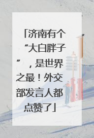 济南有个“大白胖子”，是世界之最！外交部发言人都点赞了