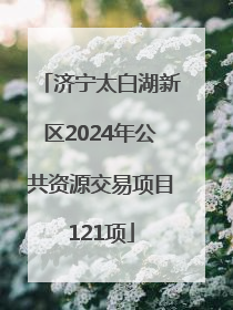 济宁太白湖新区2024年公共资源交易项目121项