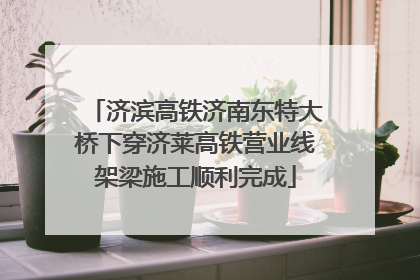 济滨高铁济南东特大桥下穿济莱高铁营业线架梁施工顺利完成