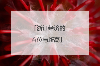 浙江经济的首位与新高