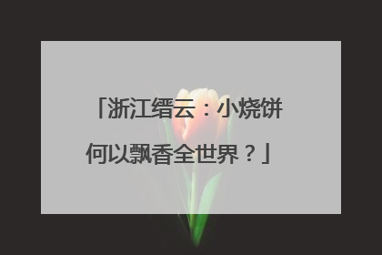 浙江缙云：小烧饼何以飘香全世界？