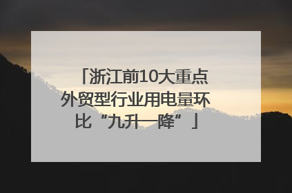 浙江前10大重点外贸型行业用电量环比“九升一降”