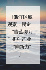 浙江区域观察：民企“青蓝接力”折射产业“向新力”