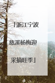 浙江宁波慈溪杨梅迎采摘旺季