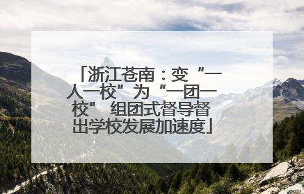 浙江苍南：变“一人一校”为“一团一校” 组团式督导督出学校发展加速度