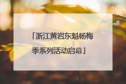 浙江黄岩东魁杨梅季系列活动启幕