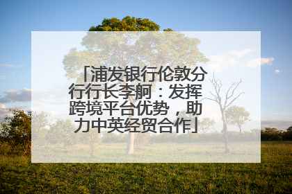 浦发银行伦敦分行行长李舸：发挥跨境平台优势，助力中英经贸合作