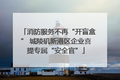 消防服务不再“开盲盒” 城陵矶新港区企业喜提专属“安全官”