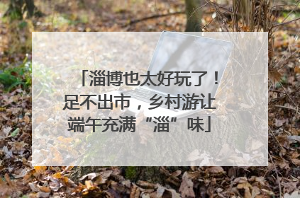 淄博也太好玩了！足不出市，乡村游让端午充满“淄”味