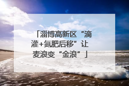 淄博高新区“滴灌+氮肥后移”让麦浪变“金浪”
