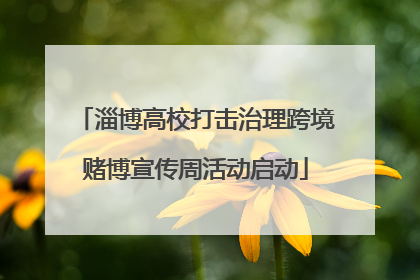 淄博高校打击治理跨境赌博宣传周活动启动