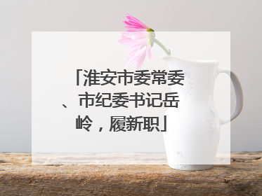 淮安市委常委、市纪委书记岳岭，履新职