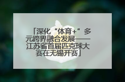 深化“体育+”多元跨界融合发展——江苏省首届匹克球大赛在无锡开赛